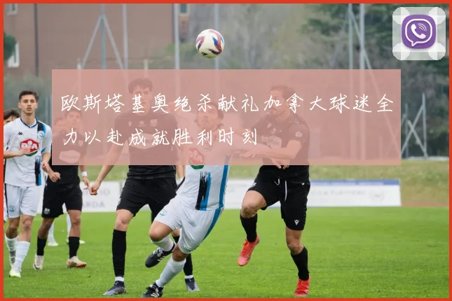 欧斯塔基奥绝杀献礼加拿大球迷全力以赴成就胜利时刻